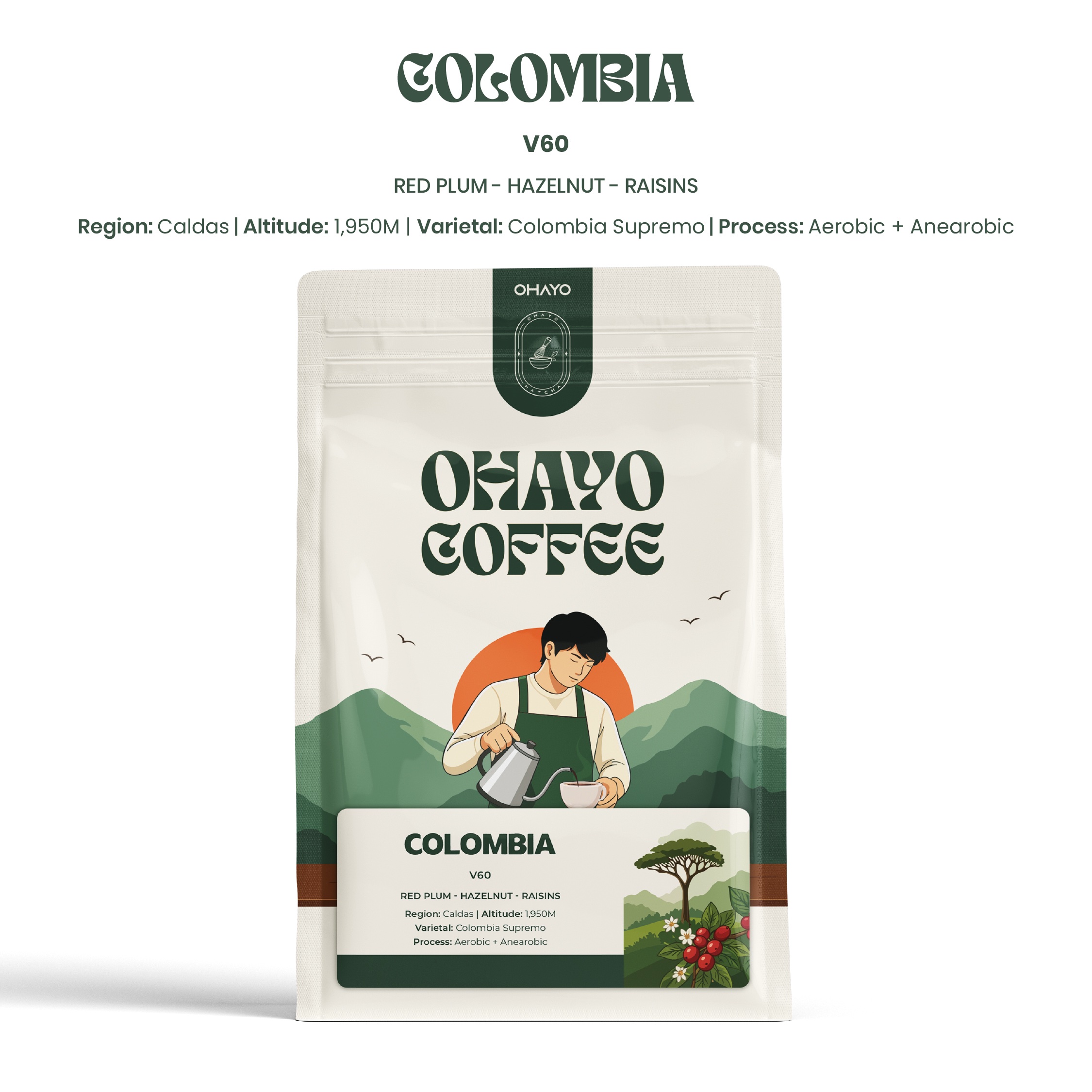 website-pic-18 ( FILTER , V60 ) Colombia fruits 250g 🇨🇴 - الصورة 1