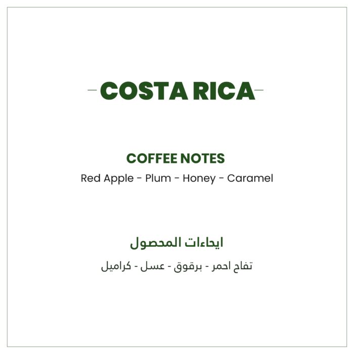 ⁦( FILTER , V60 ) فاكهي 🍓 🍇🍑 Costa Rica 🇨🇷⁩ - الصورة ⁦2⁩