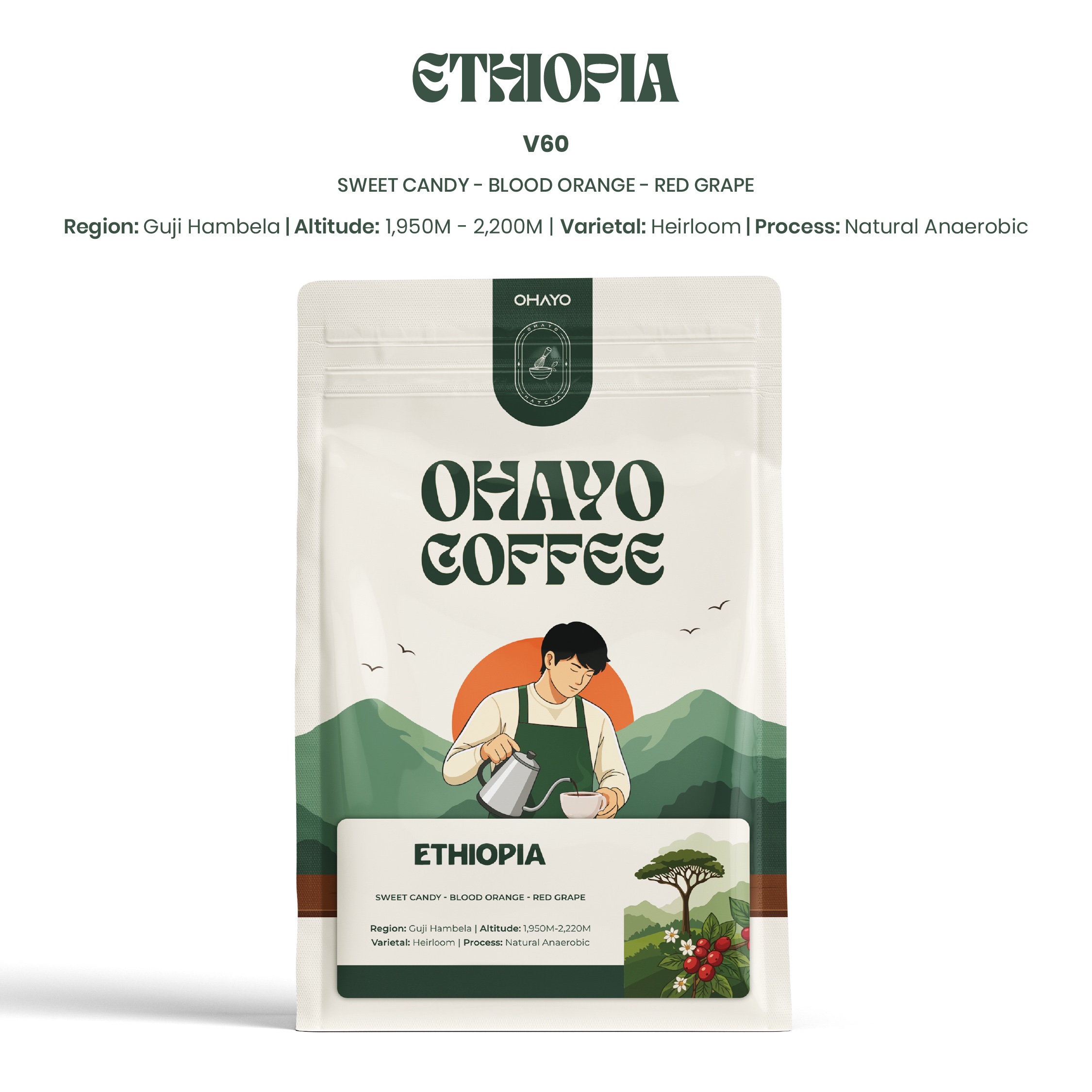website-pic-17 ( Filter , V60 ) ETHIOPIA GUJI 250g - الصورة 1